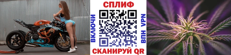Купить наркоту Стародуб Альфа ПВП  Каннабис  Мефедрон  ГАШ 