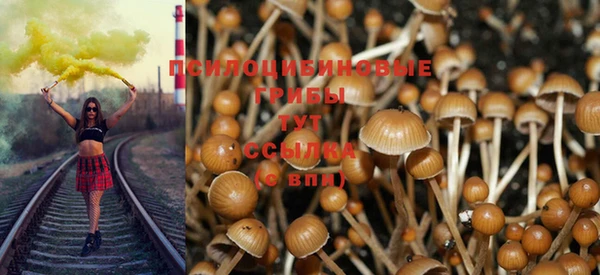 spice Армянск