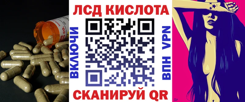 ссылка на мегу как войти  Стародуб  Лсд 25 экстази ecstasy 